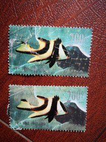 实寄票两枚，1998一29(8一6)T海底世界200分邮票