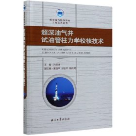 超深油气井试油管柱力学校核技术(精)/超深油气勘探开发工程技术丛书