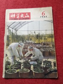 科学大众杂志（1965年第6期）