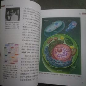 生物技术入门系列4：白色生物技术