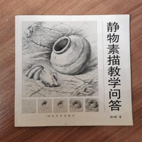 静物素描教学问答（修订版）