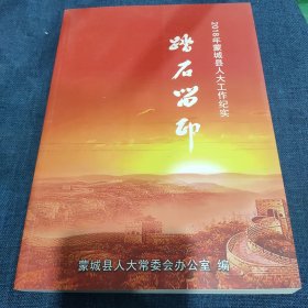 踏石留印 2018年蒙城县人大工作纪实