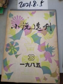 小说选刊  1985年3期