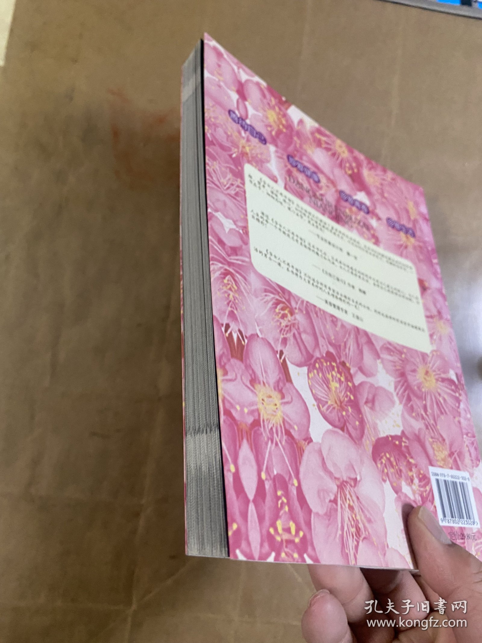 当女人不再年轻