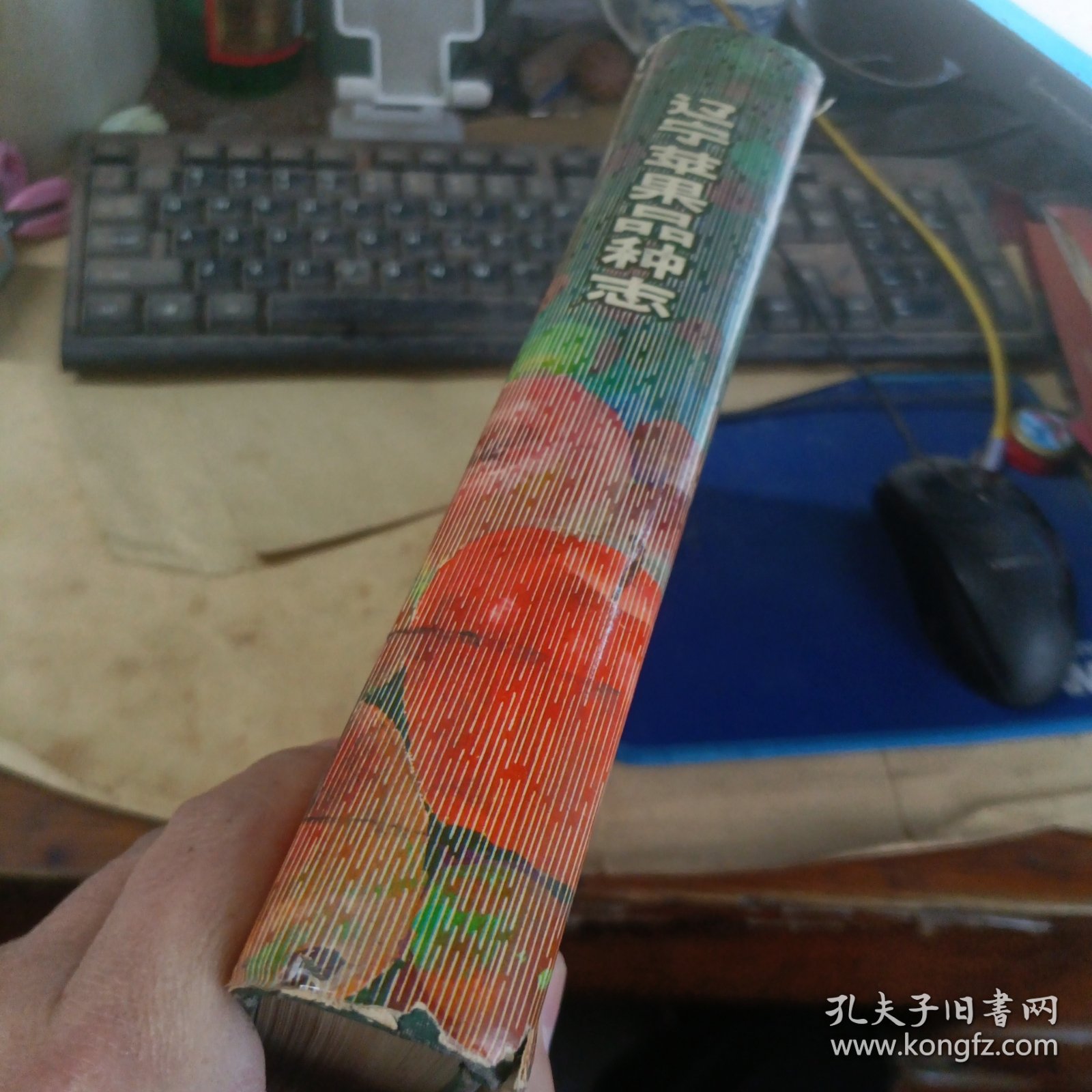 辽宁苹果品种志