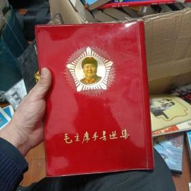 《毛主席手书选集》 无林提林相 其他 大16开 红塑封 封面毛主席头像侯有签名