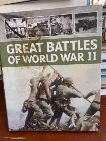 THE GREAT BATTLES OF WORLD WAR I 第一次世界大战的伟大战役 (大量黑白彩色历史图片）