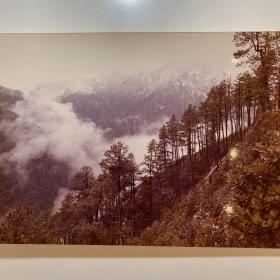 《中国摄影》旧藏80年代影像——牛畏予（中国著名女摄影家之一、八路军战地记者）《大雪山 原始森林 长征路上》，25*18公分H1031