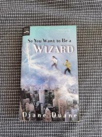 So You Want to Be a Wizard