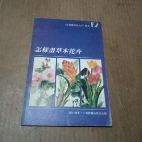 怎样画草本花卉