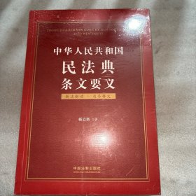 中华人民共和国民法典条文要义.