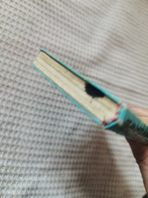 袖珍方剂应用手册