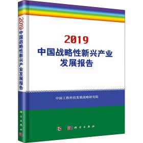 中国战略性新兴产业发展报告 2019