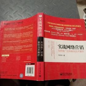 实战网络营销：网络推广经典案例战术解析