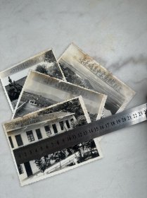 嵊县城东中学80年代照片4张