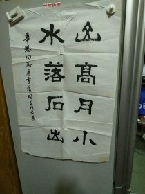 菽园书法