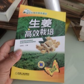 高效种植致富直通车：生姜高效栽培