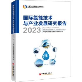 国际氢能技术与产业发展研究报告 2023
