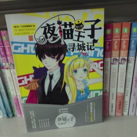 醉青春系列小说6：夜猫王子寻城记