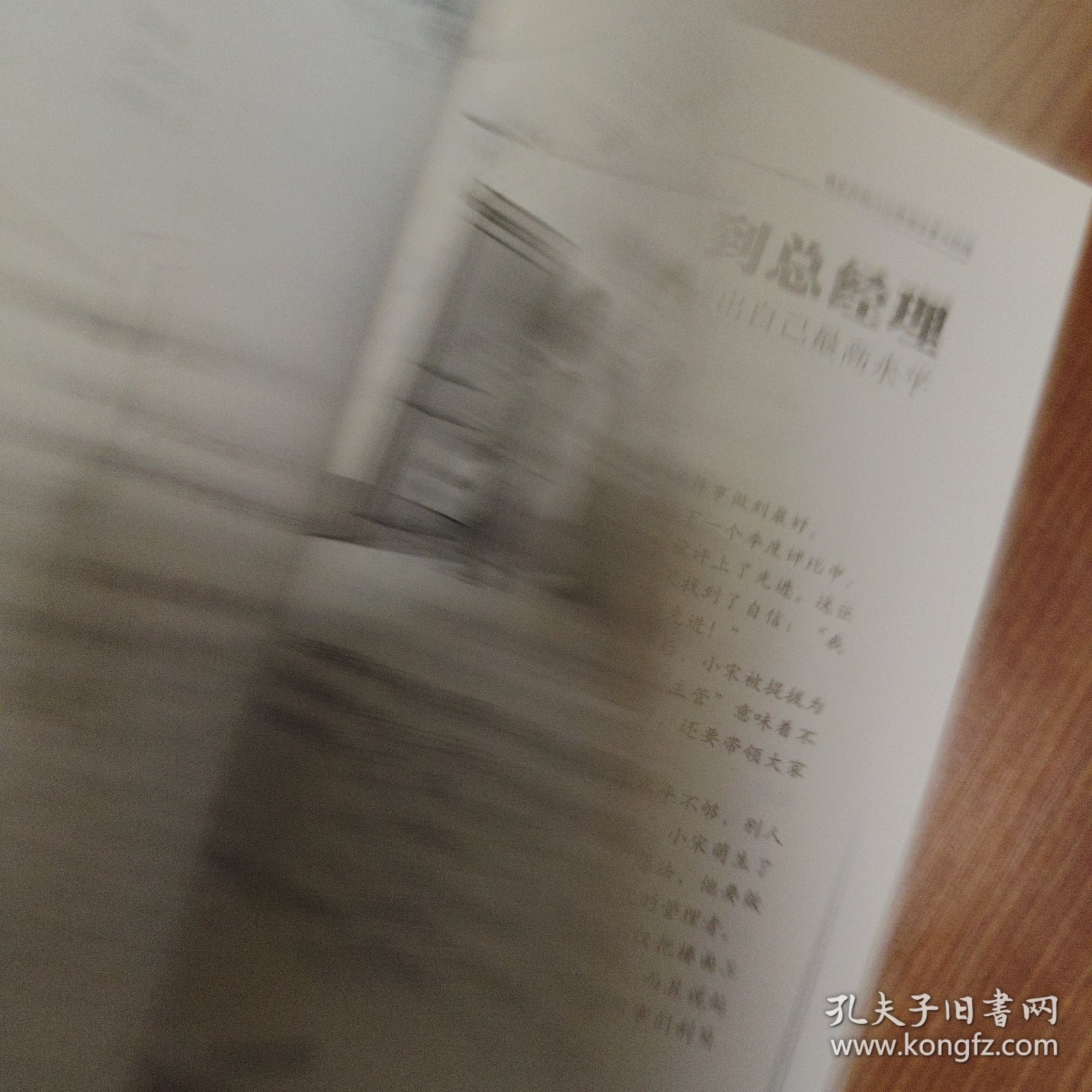 中外管理故事与哲理丛书：鲁能烧鹅仔的管理故事与哲理