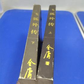 飞狐外传 (上下册)