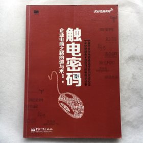 实战电商系列·触电密码：企业电商之路的道与术（全彩）