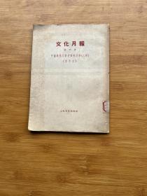 文化月报(创刊号)