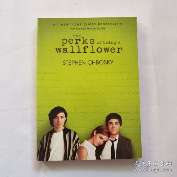 The Perks of Being a Wallflower 壁花少年 英文原版