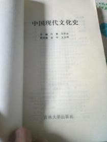 中国现代文化史