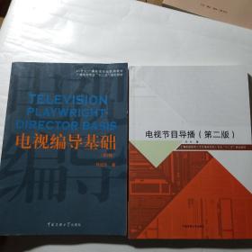 电视编导基础（第2版）/21世纪广播电视专业实用教材·广播电视专业“十二五”规划教材