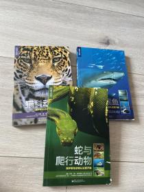 自然之灵 3册合售 正版现货品好适合收藏 蛇与爬行动物 猫科动物 鲨鱼与鹞鱼