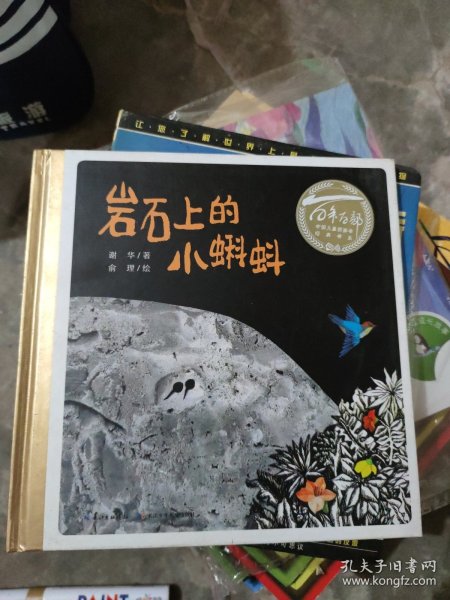 百年百部图画书系：岩石上的小蝌蚪版画和水墨画的结合