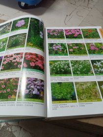 上海植物图鉴·草本卷