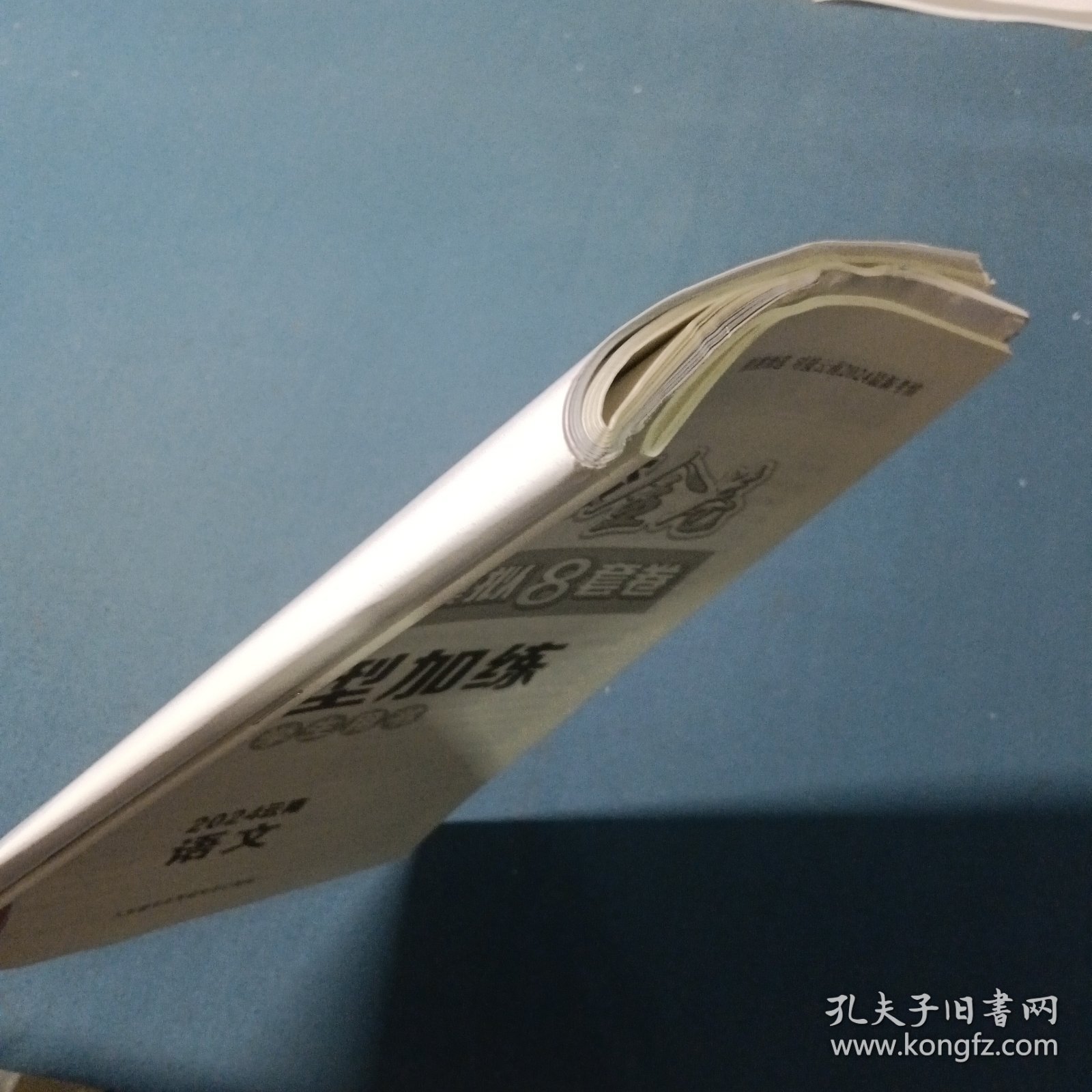 2024名校金卷.中考仿真模拟8套卷.语文