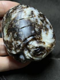 龙龟！玉石新宠艾特莱斯玉手把件 奇石摆件