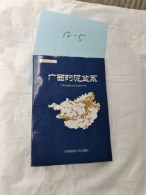 广西的泥盆系