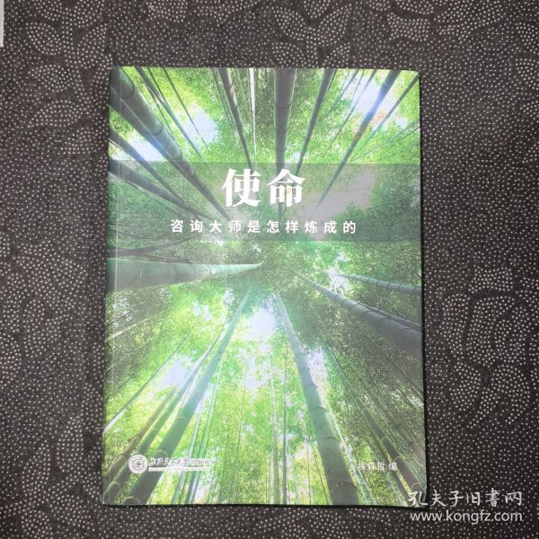 使命：咨询大师是怎样炼成的