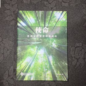 使命：咨询大师是怎样炼成的