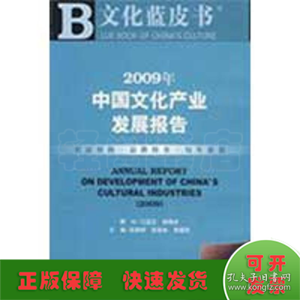 2009年中国文化产业发展报告