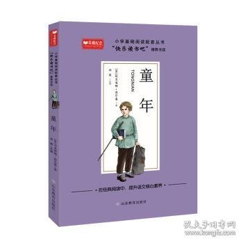 童年小学基础阅读配套丛书：快乐读书吧六年级