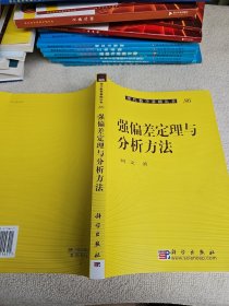 强偏差定理与分析方法