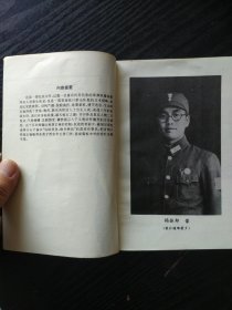 将军恨——杨振邦抗日故事选