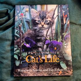 THE ILLUSTRATED Cat's Life 小猫丛书
