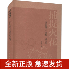 捕捉火花 