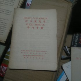 汉字规范化学习手册（b32开29）