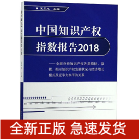 (2018)中国知识产权指数报告