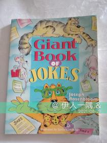 Giant book of jokes（英文原版）