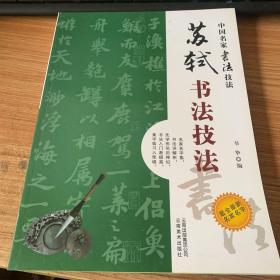 中国名家书法经典技法：苏轼书法技法