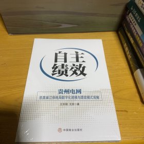 自主绩效：贵州电网：凯里麻江供电局数字化建模与绩效模式观察