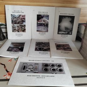 隋炀帝萧后冠实验室考古清理照相记录图册（附录一～附录七）